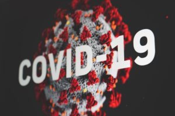 The impact of Covid-19 on PII Renewals 2020